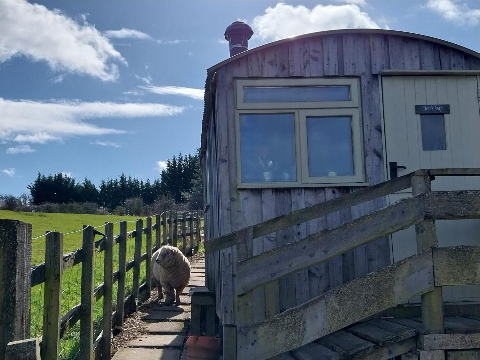 Meadowbeck - Shepherd Huts Fylingdales 外观 照片