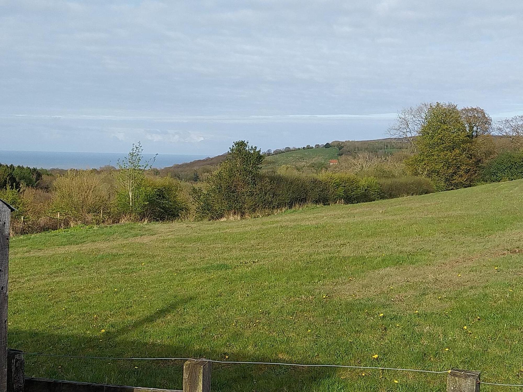 Meadowbeck - Shepherd Huts Fylingdales 外观 照片
