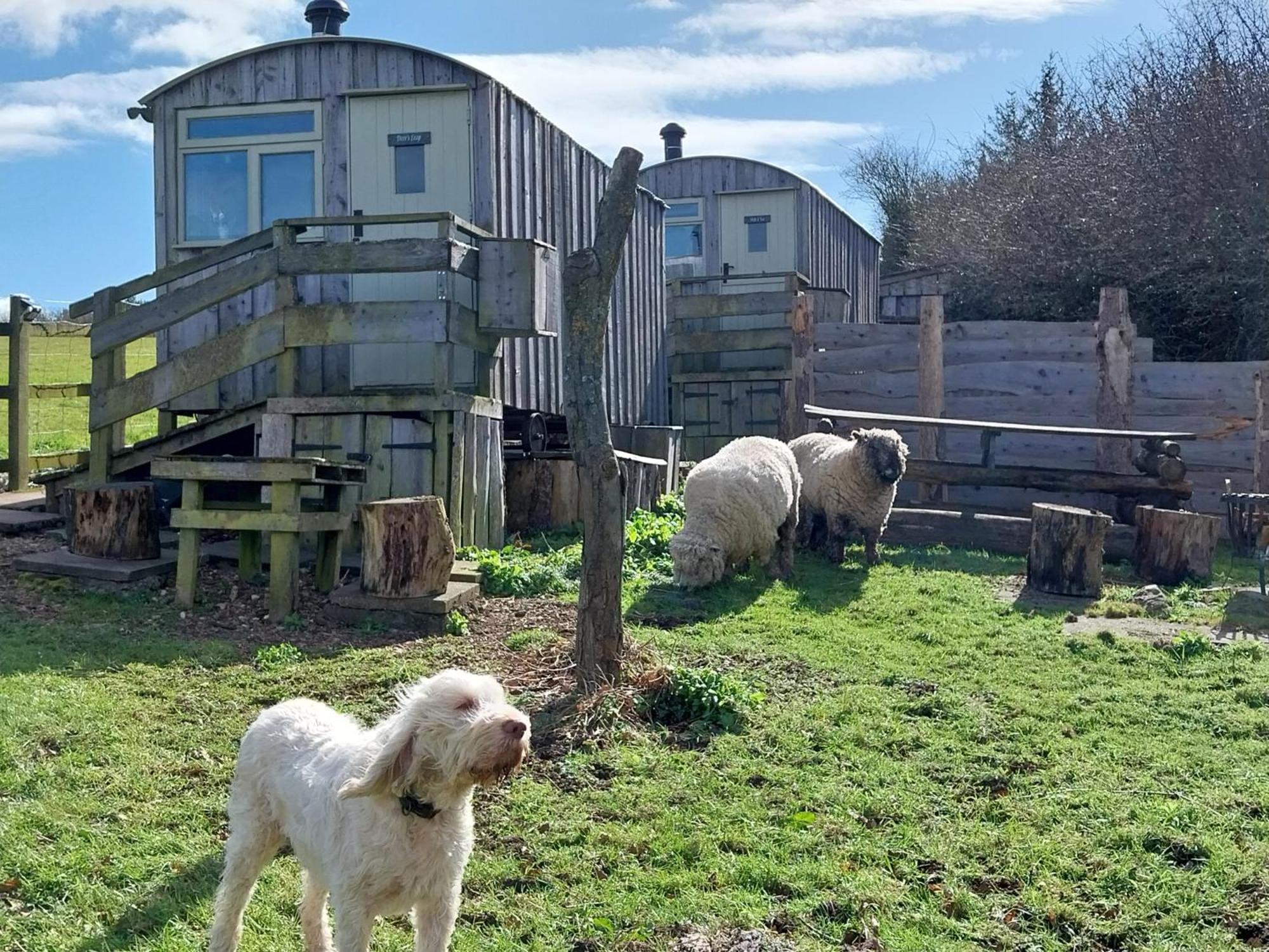 Meadowbeck - Shepherd Huts Fylingdales 外观 照片