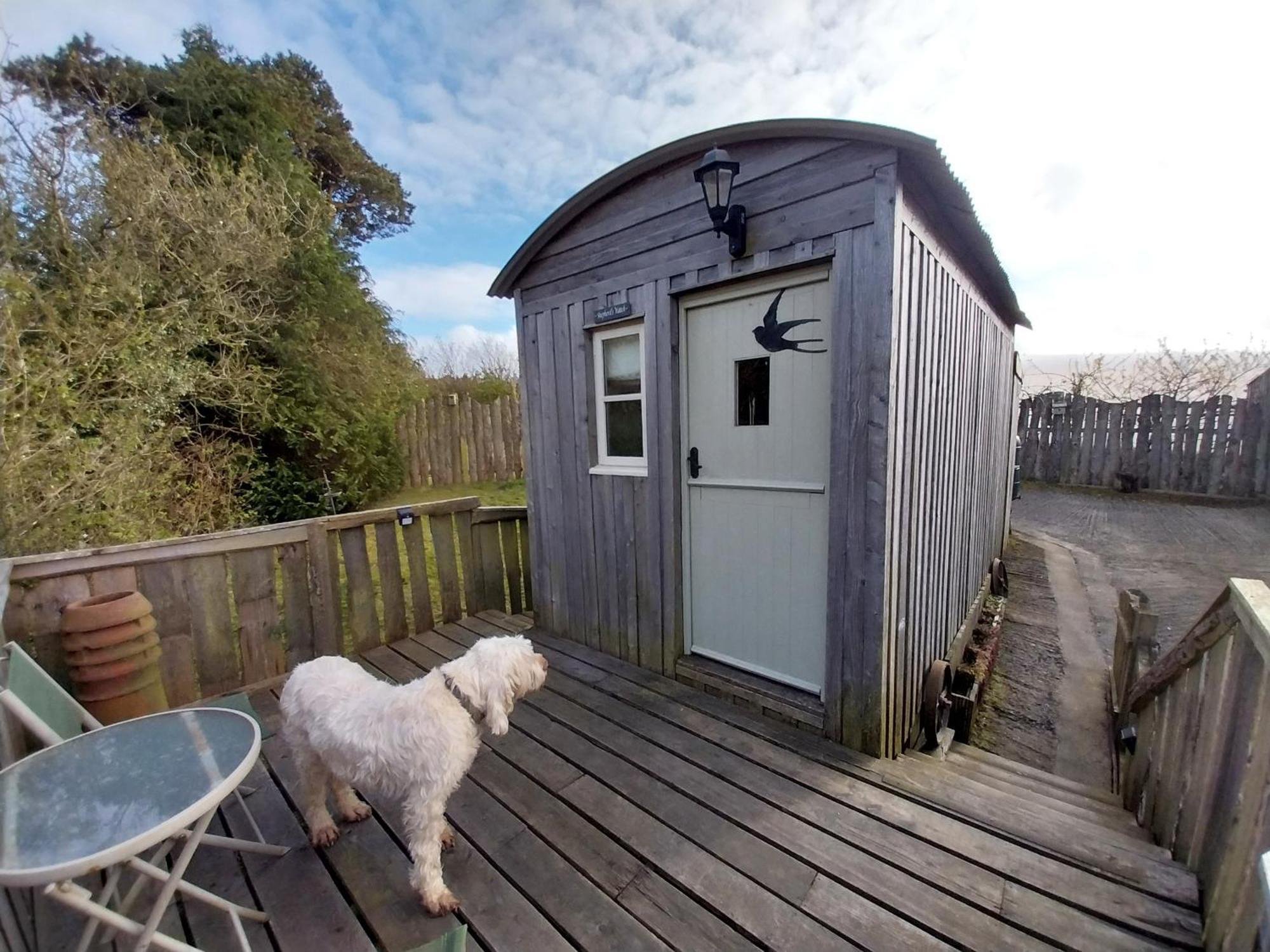 Meadowbeck - Shepherd Huts Fylingdales 外观 照片