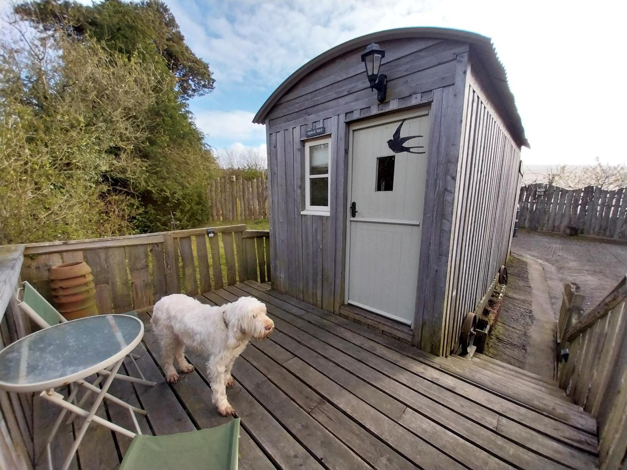 Meadowbeck - Shepherd Huts Fylingdales 外观 照片